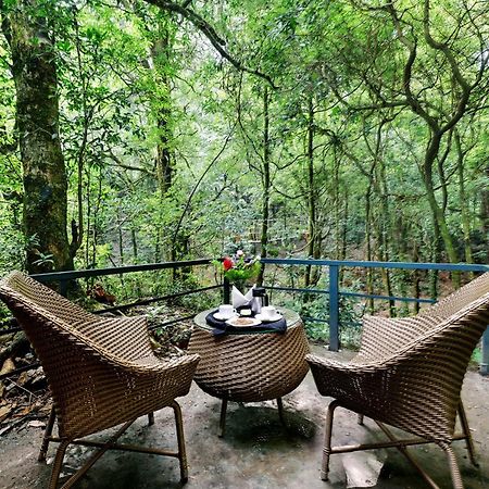 Ayar Jungle Resort Nainital Bagian luar foto