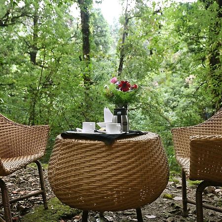 Ayar Jungle Resort Nainital Bagian luar foto