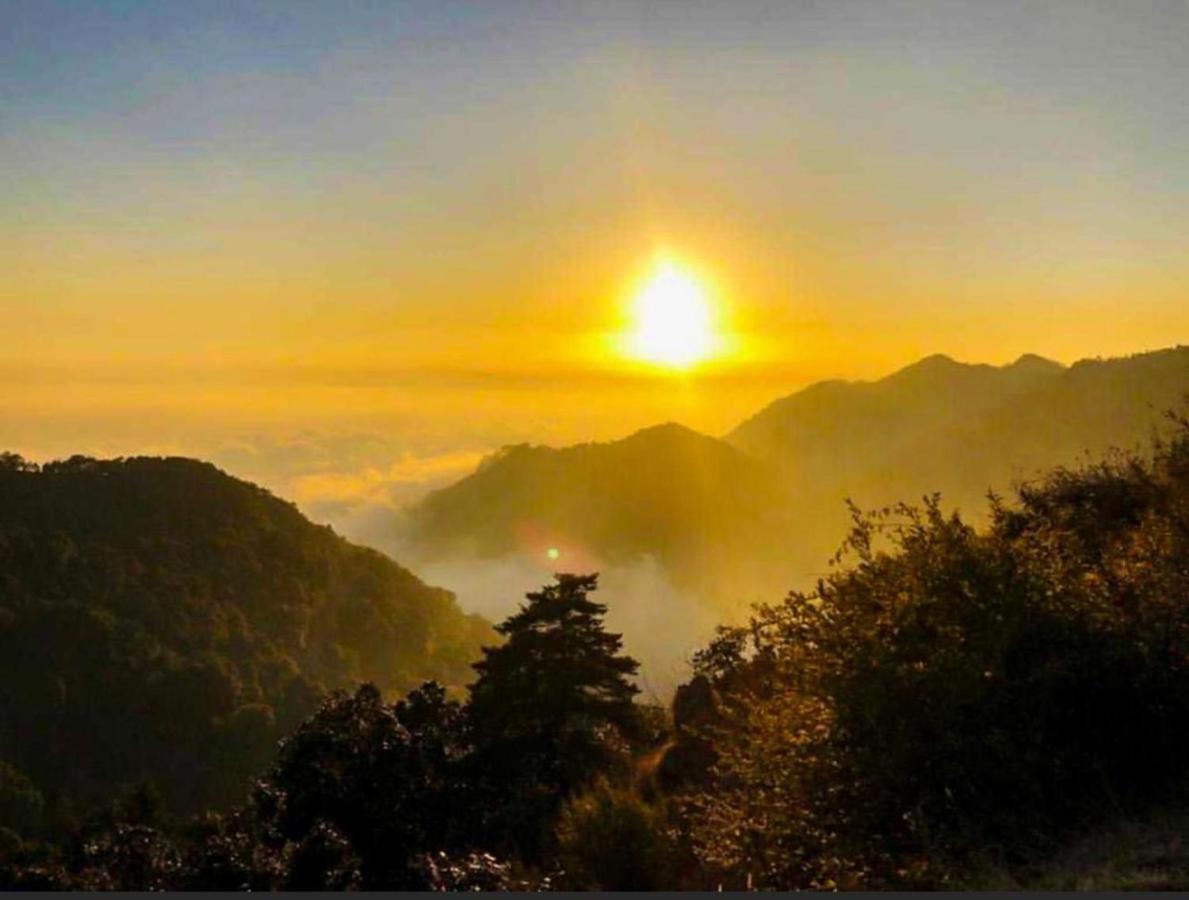 Ayar Jungle Resort Nainital Bagian luar foto