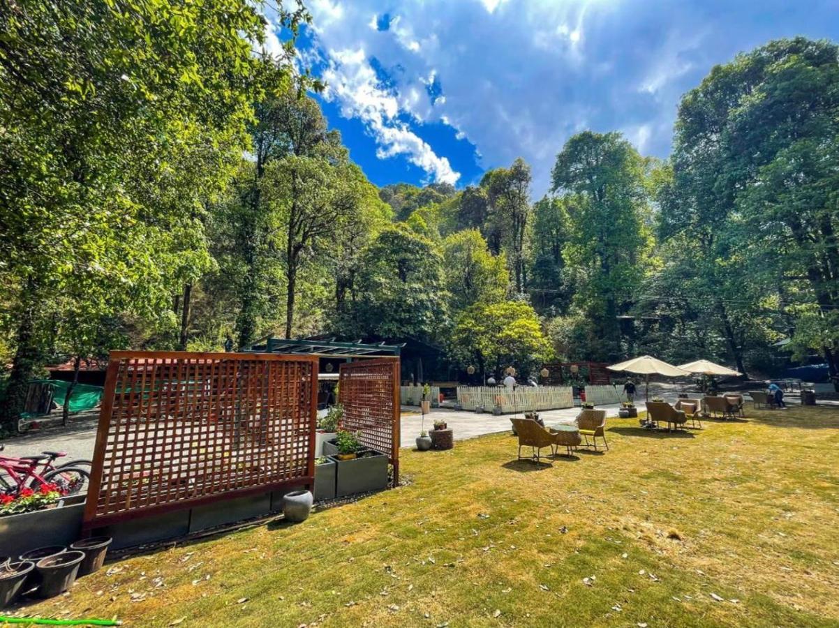 Ayar Jungle Resort Nainital Bagian luar foto