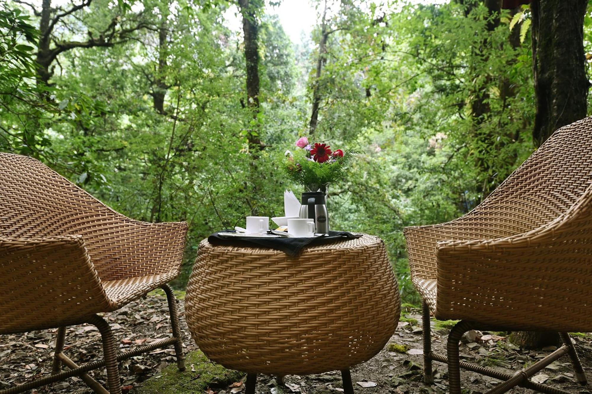Ayar Jungle Resort Nainital Bagian luar foto